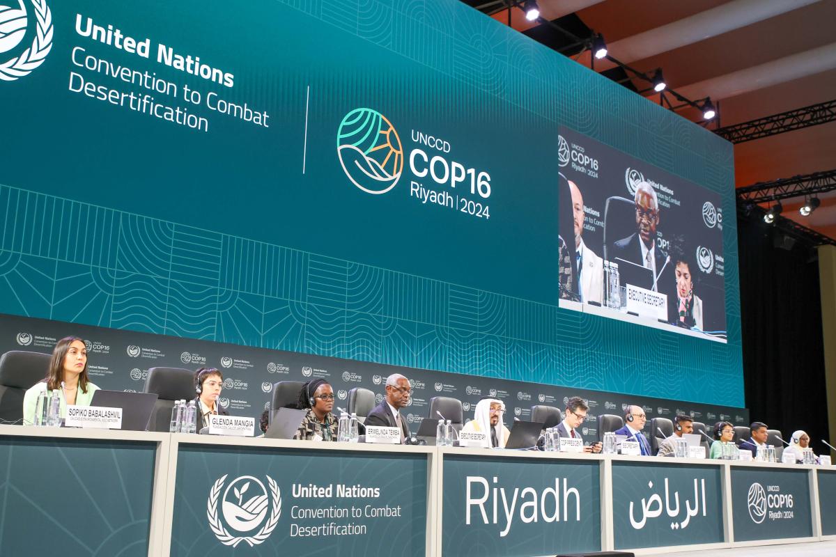 Case Study: UNCCD COP16 — Knowledge Partner for the Afforestation Technology Forum (Greening Arabia)